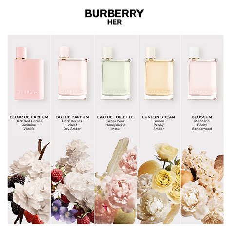 burberry parfum damen müller|burberry her perfume.